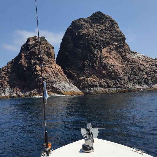 Arabisches Meer (Oman)-3