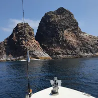 Arabisches Meer (Oman)-3