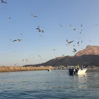 Arabisches Meer (Oman)-1