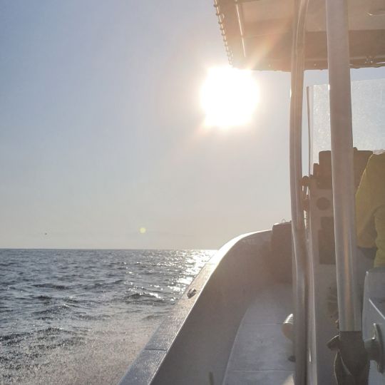 Arabisches Meer (Oman)-2