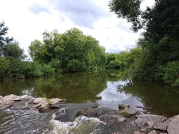 Rott (Hebertsfelden)