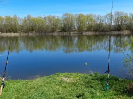 Lindenallee (Holzminden)-1