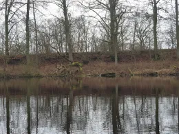 Krebssee (Kavelsdorf)-2