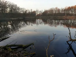 Krebssee (Kavelsdorf)-0