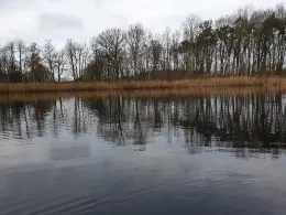 Krebssee (Kavelsdorf)-3