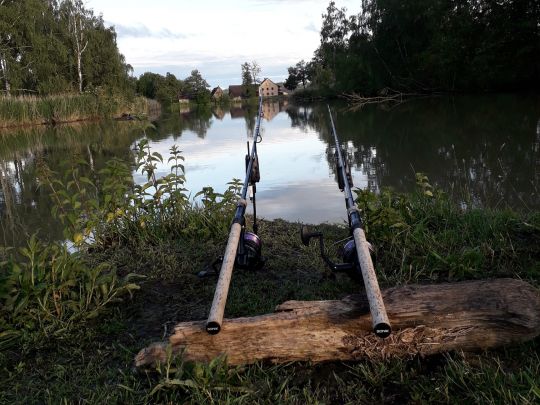 Asbacher Weiher-1
