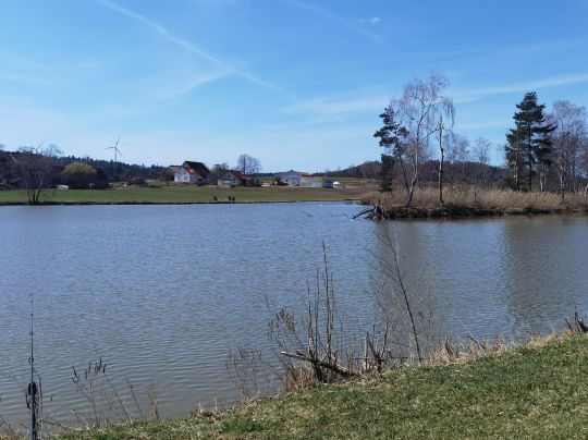 Asbacher Weiher-2