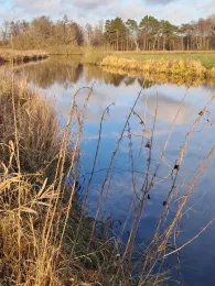 Beeke (Pennigbüttel)-1