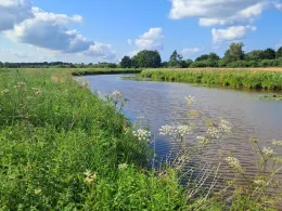 Beeke (Pennigbüttel)-1