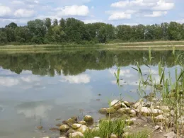 Haussee (Seefeld-Löhme)-2