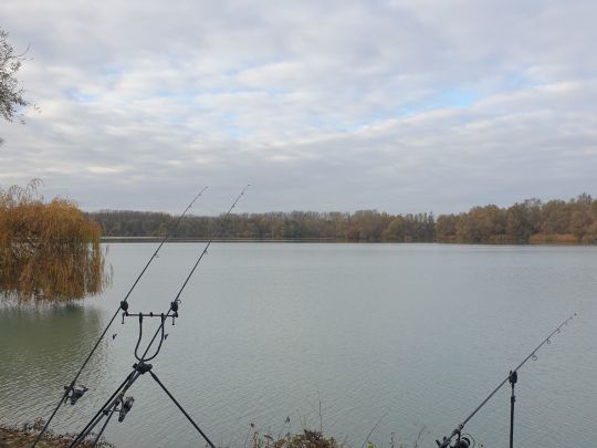 Baggersee Giesen (Dettenheim)-3