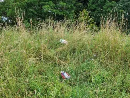 Immertalstausee (Friemar)-2