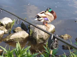 Teltowkanal (Berlin-Adlershof)-0