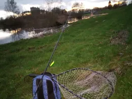 Stör (Breitenberg / Westermoor)-1