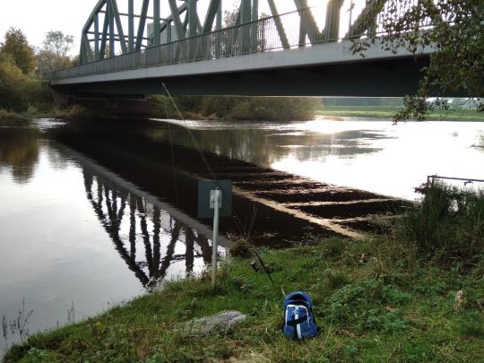 Stör (Breitenberg / Westermoor)