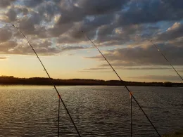 Stör (Breitenberg / Westermoor)-4