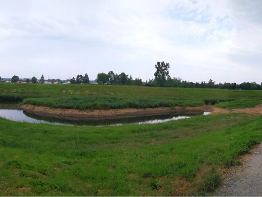 Weschnitz (Biblis)-1