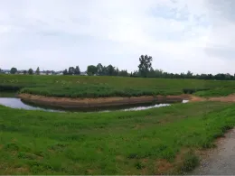 Weschnitz (Biblis)-1