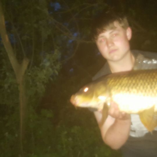 Mühlensee (Gifhorn)-2