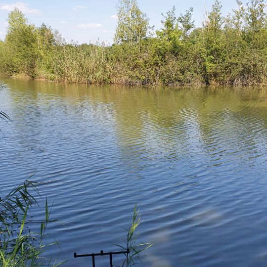 Alter Bagger (Zwenkau)-1