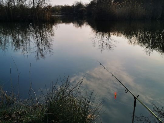 Alter Bagger (Zwenkau)-3