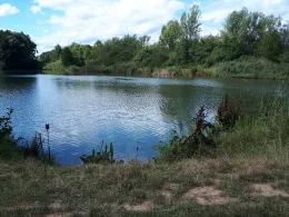 Alter Bagger (Zwenkau)