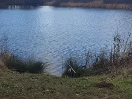 Alter Bagger (Zwenkau)-4