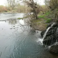 Alter Neckar (Freiberg am Neckar)