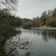 Alter Neckar (Freiberg am Neckar)-1