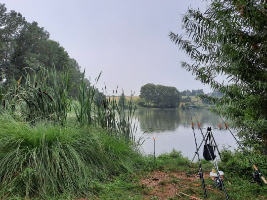 Seebaer See-1