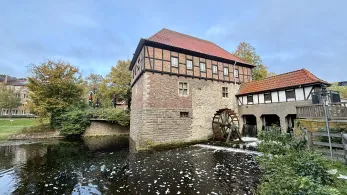 Mühlenstever (Lüdinghausen)-3