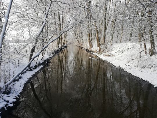 Ludwigsluster Kanal angeln