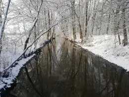 Ludwigsluster Kanal-1