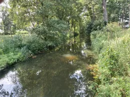 Ludwigsluster Kanal-2