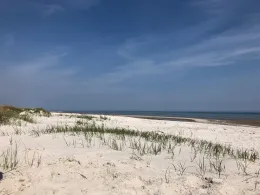 Kattegat (Bisnap Strand) -1