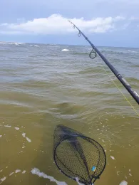 Kattegat (Bisnap Strand) -3