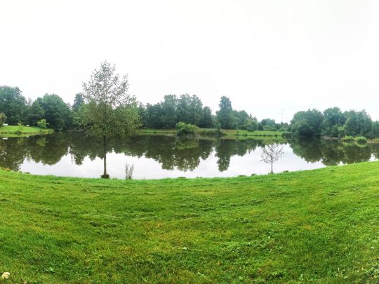 Peter-Friedrich-Weiher (Nalbach)-1