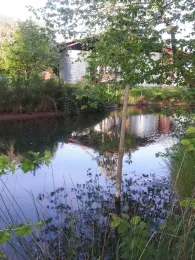 Forellenzucht Stengel (Schwebda)-1