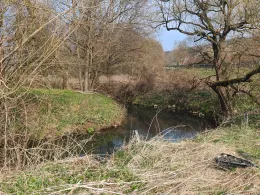 Schwarzach (Berg bei Neumarkt)-2