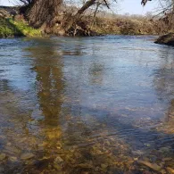 Schwarzach (Berg bei Neumarkt)-1