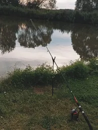 Pferderasen (Gerstungen)