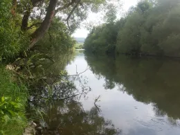 Eder (Felsberg-Gensungen)