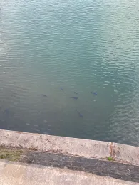 Ronsdorfer Talsperre-3