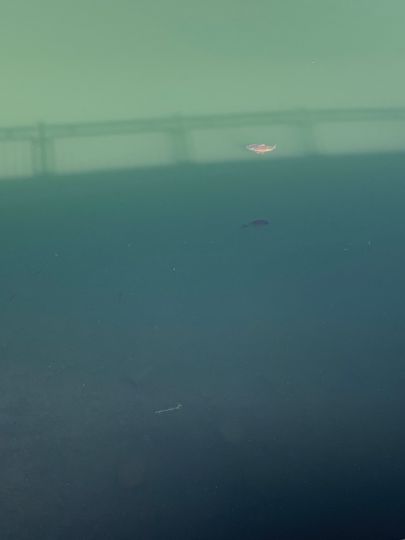 Ronsdorfer Talsperre-2