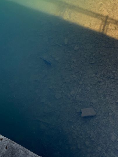 Ronsdorfer Talsperre-1