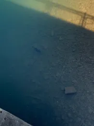 Ronsdorfer Talsperre-1