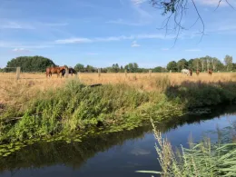 Werse (Drensteinfurt)-3