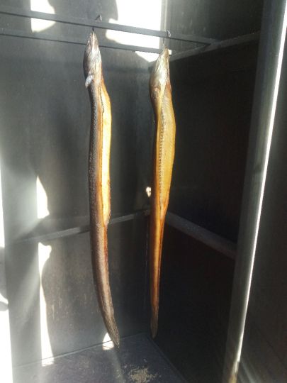 Werse (Drensteinfurt)-1