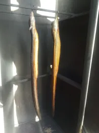 Werse (Drensteinfurt)-1