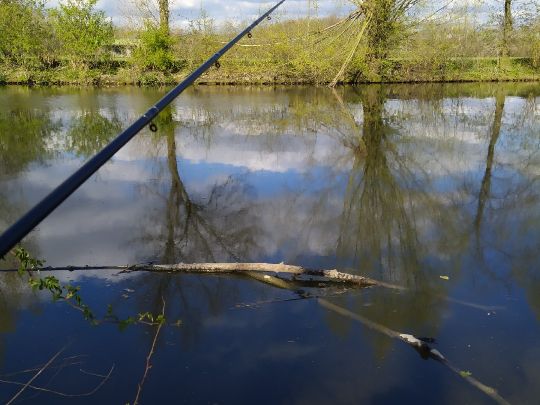 Werse (Drensteinfurt)-2